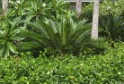 Subiaco Easttropical-landscaping-4.jpg; ?>