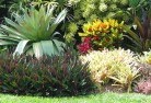 Subiaco Easttropical-landscaping-9.jpg; ?>
